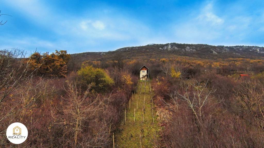 Predaj krásnej vinice s chatou pri obci Hrhov