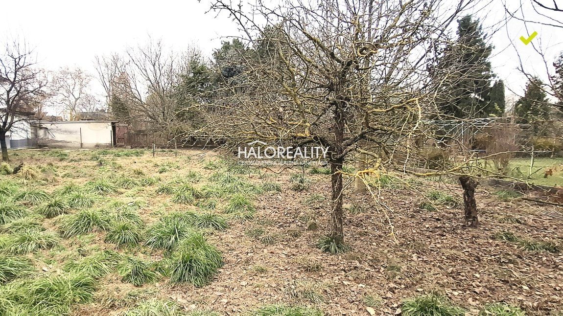 HALO reality - Predaj, záhradný pozemok   1006 m2 Komárno