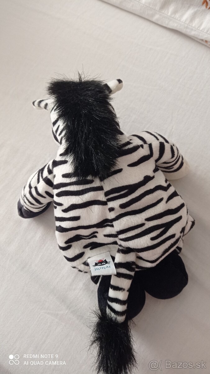 Zebra