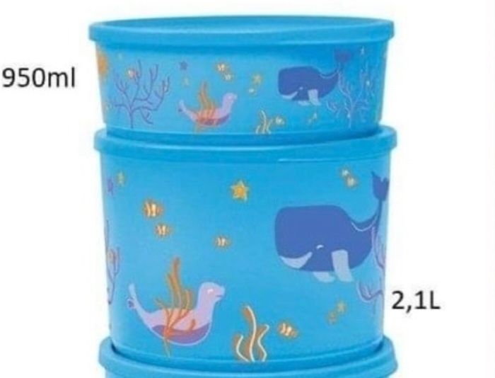 oval tupperware