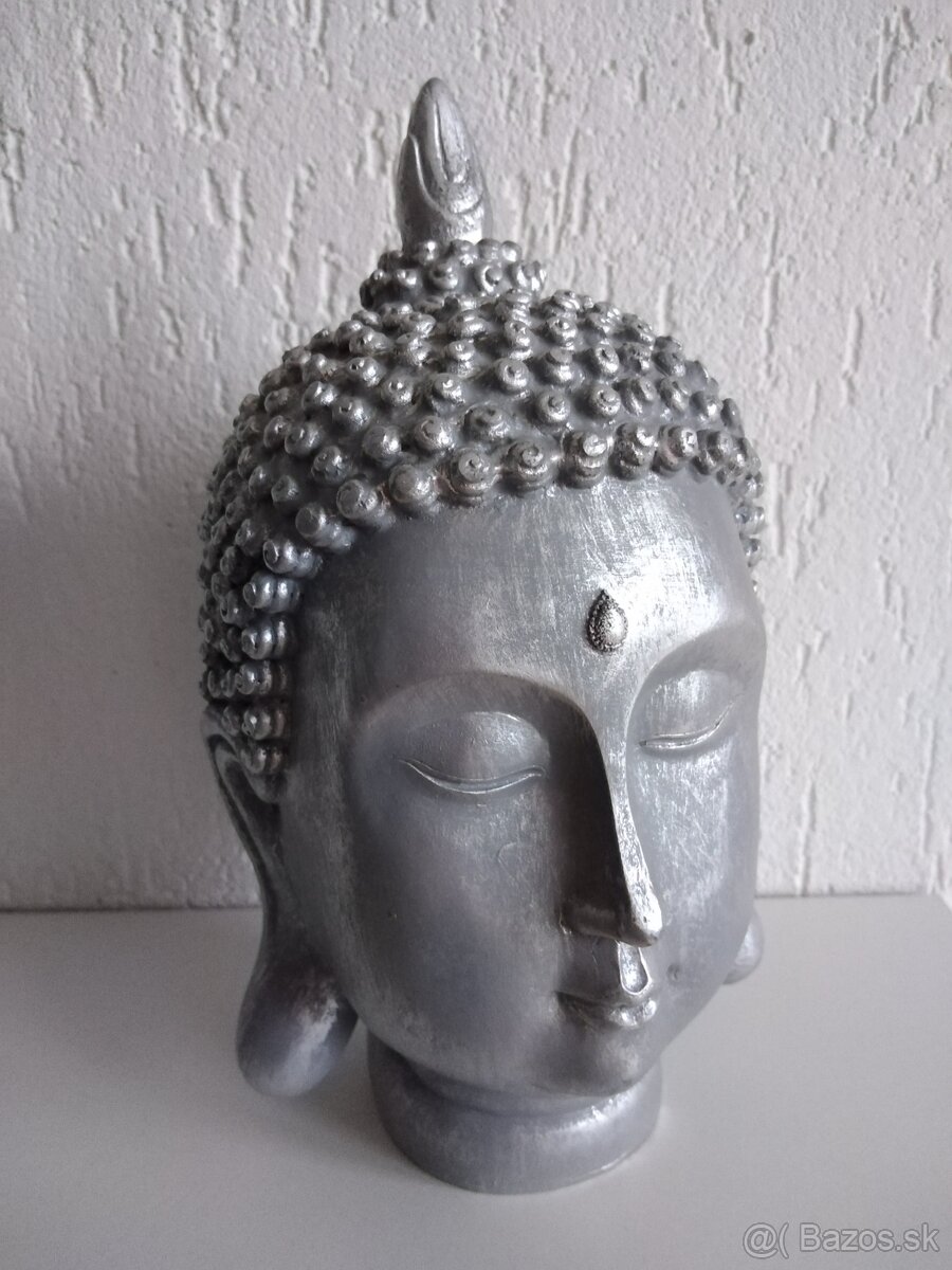 Budha socha busta