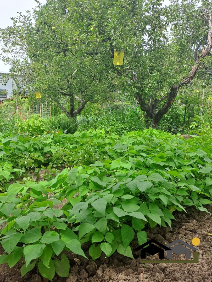 Top lokalita - záhradka na Chrenovej