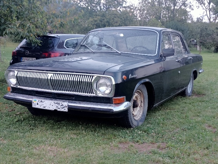 Volga 24