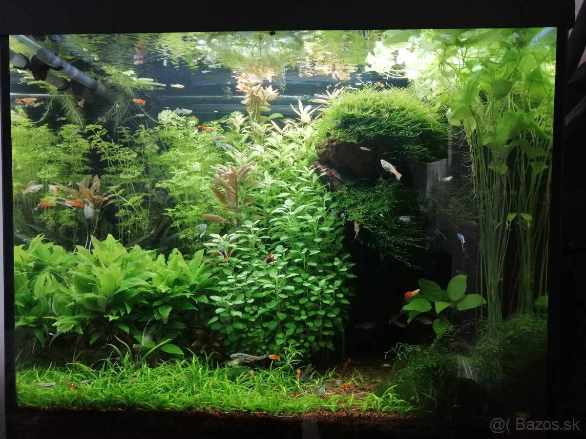 Predam.aquarium 250l juwel