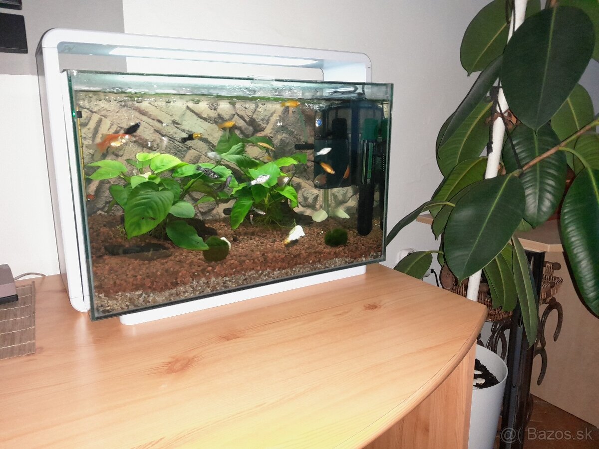 Akvarium natur biotop 60L