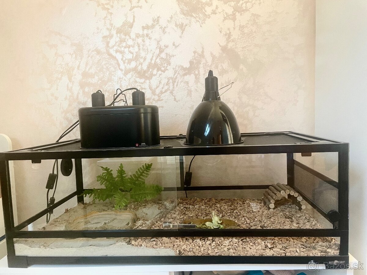 Terarium pre korytnacku