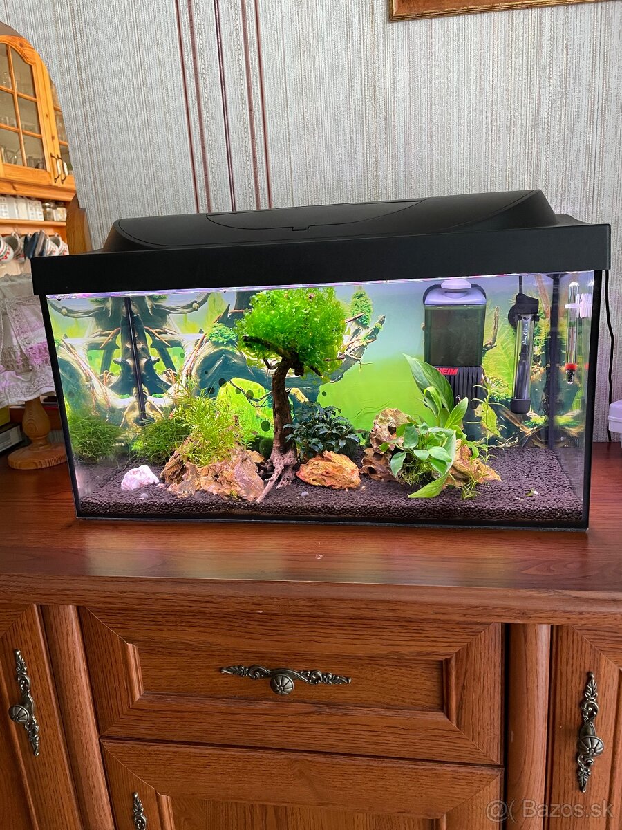 63l.akvarium+Krevetky ???? caridiny KEZMAROK