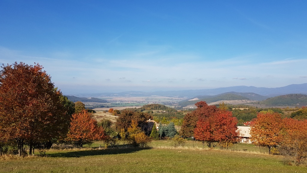 PREDAJ veľký pozemok so starým domom a hosp. budovou