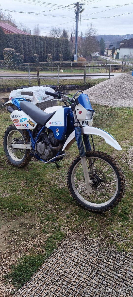 Suzuki DR 350