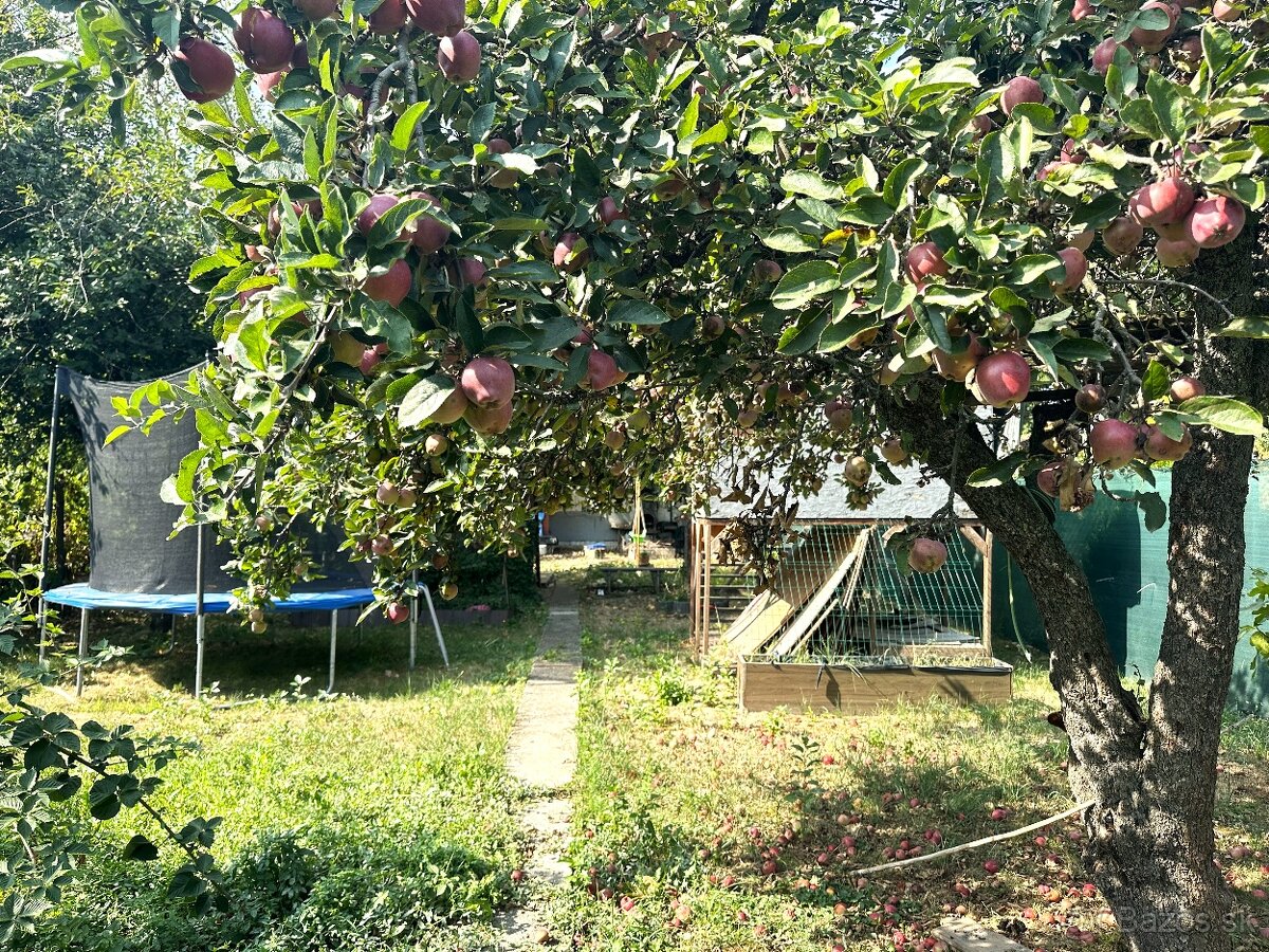 Odstúpenie slnečnej záhrady, v lokalite Mierová kolónia