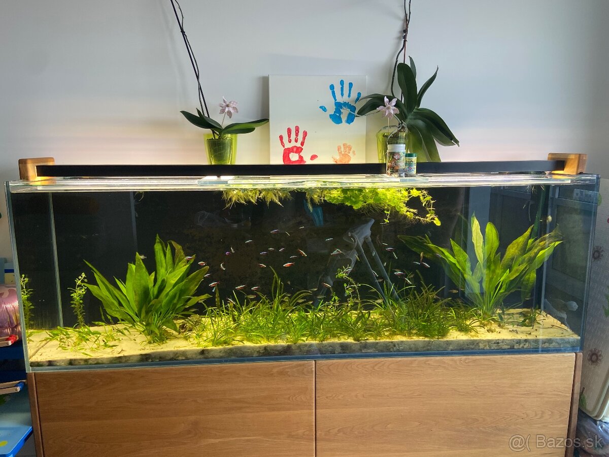 Akvarium optiwhite 200 x 65 x 40