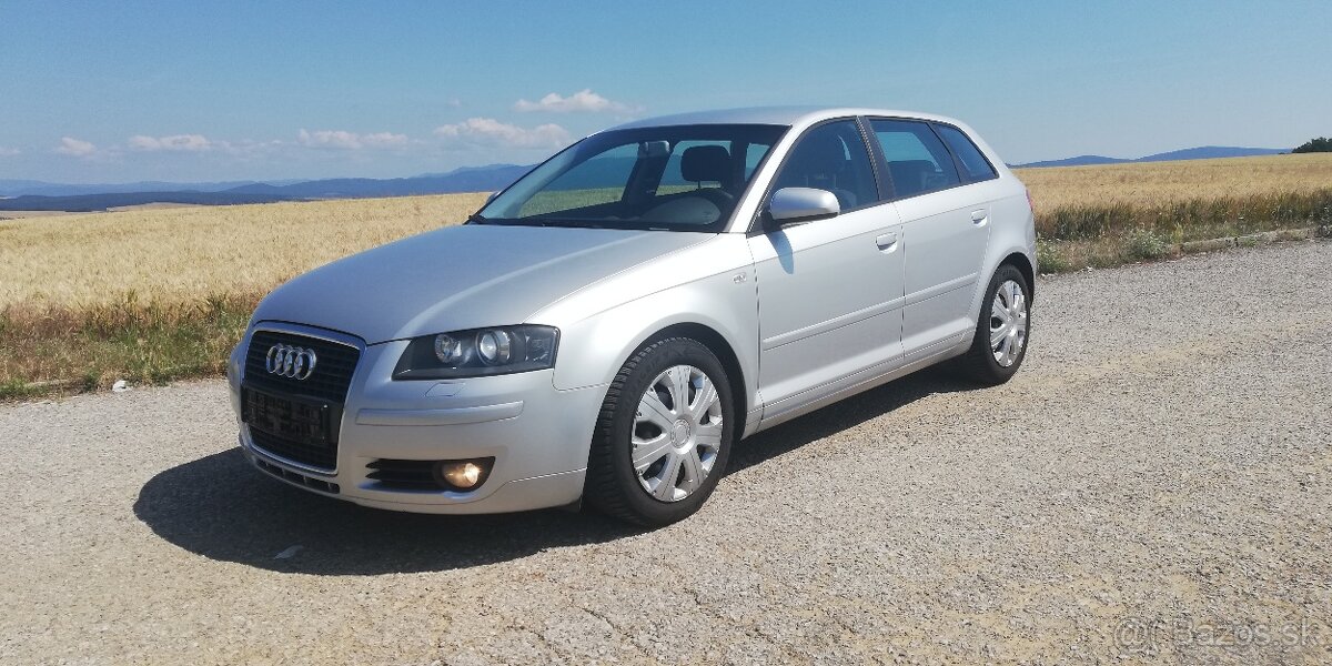 Audi A3 1.9TDI 8P  sportback