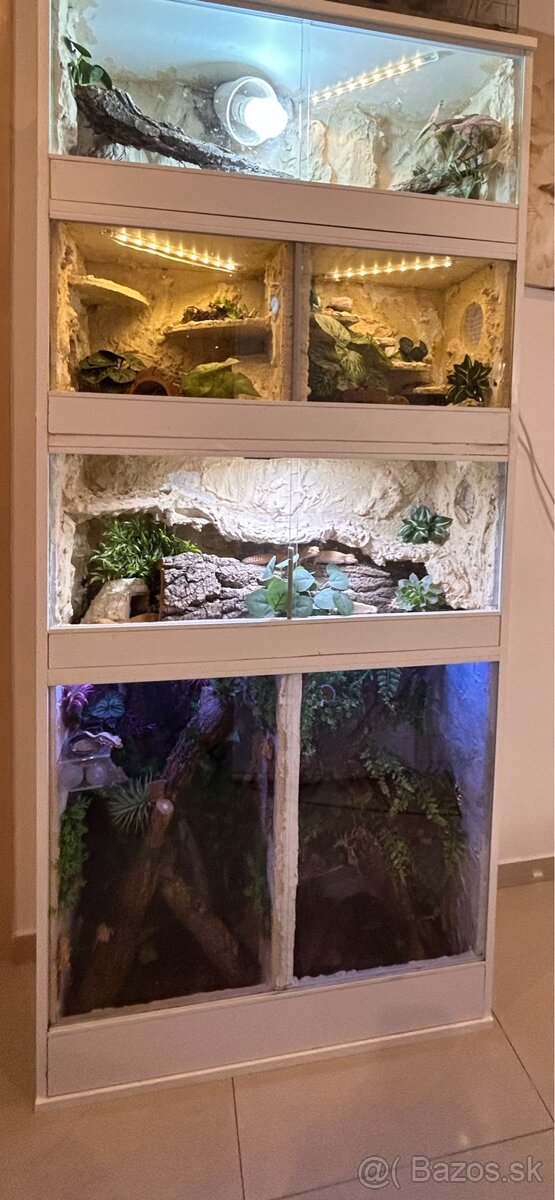 Terarium so zvieratami