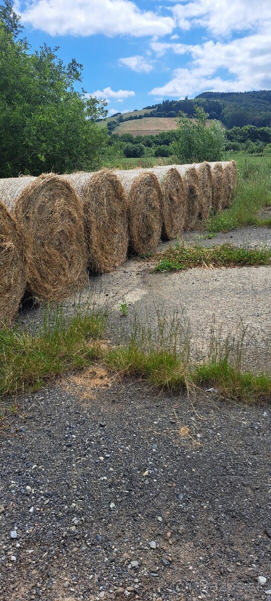 Seno,lucerka