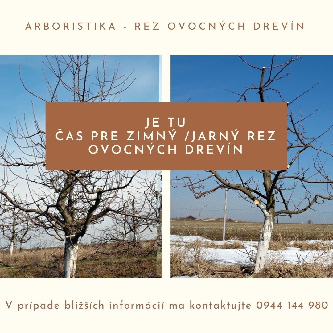 ZÁHRADNÍCKE SLUŽBY / REZ OVOCNÝCH DREVÍN / ÚDRŽBA ZÁHRAD