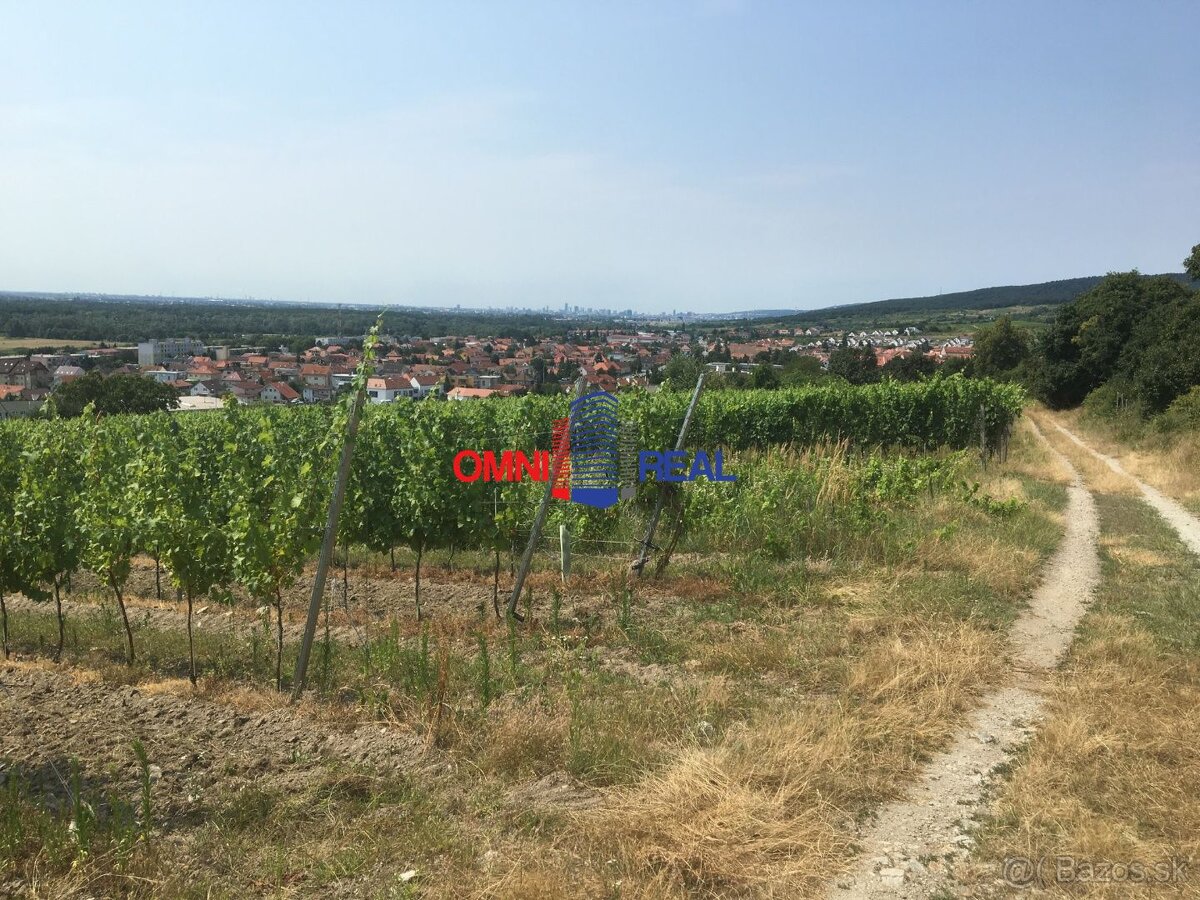 Obrábaný vinohrad 37 árov - Vinosady, sírka 27 m, lokalita p