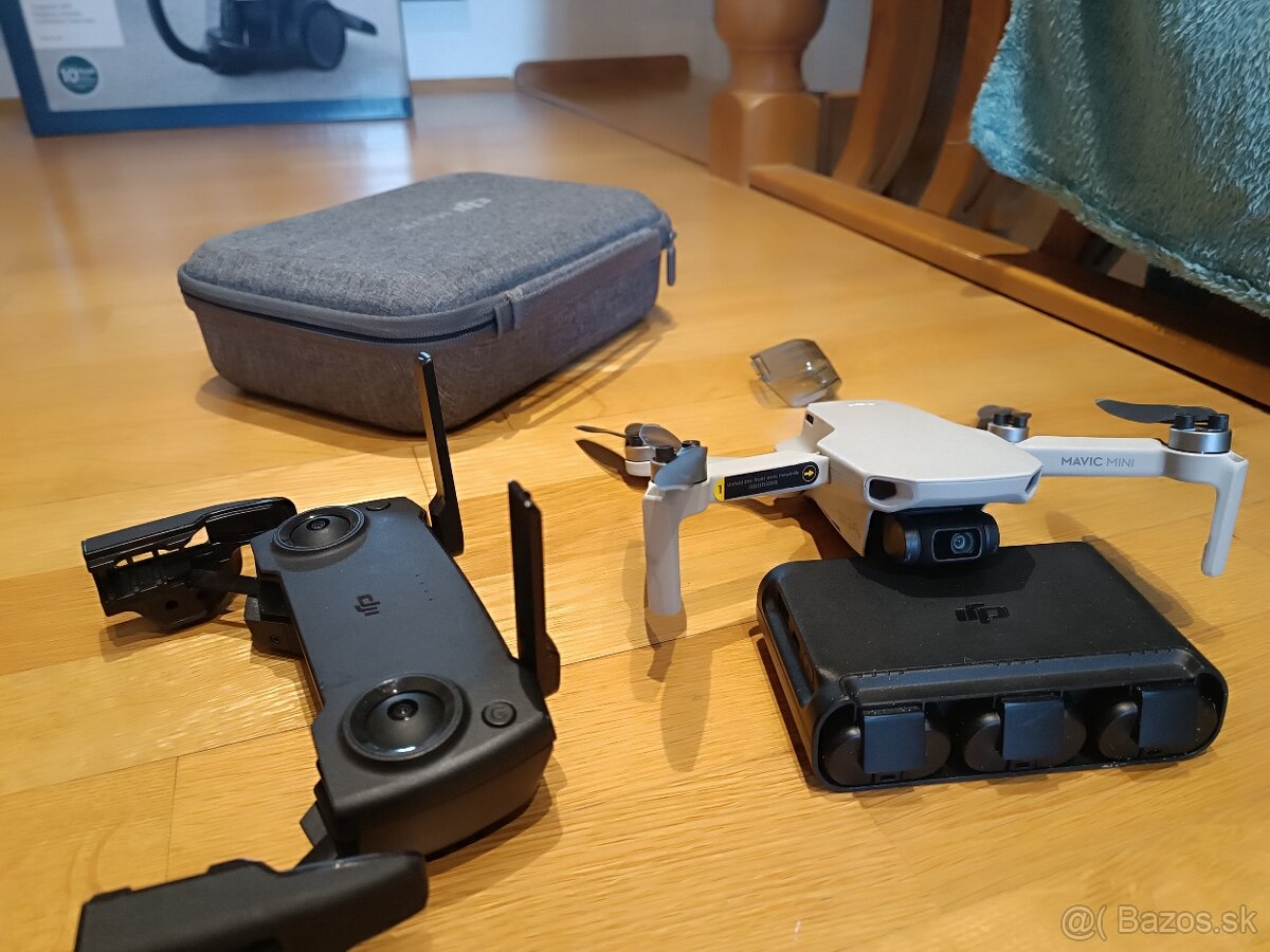 Mavic mini