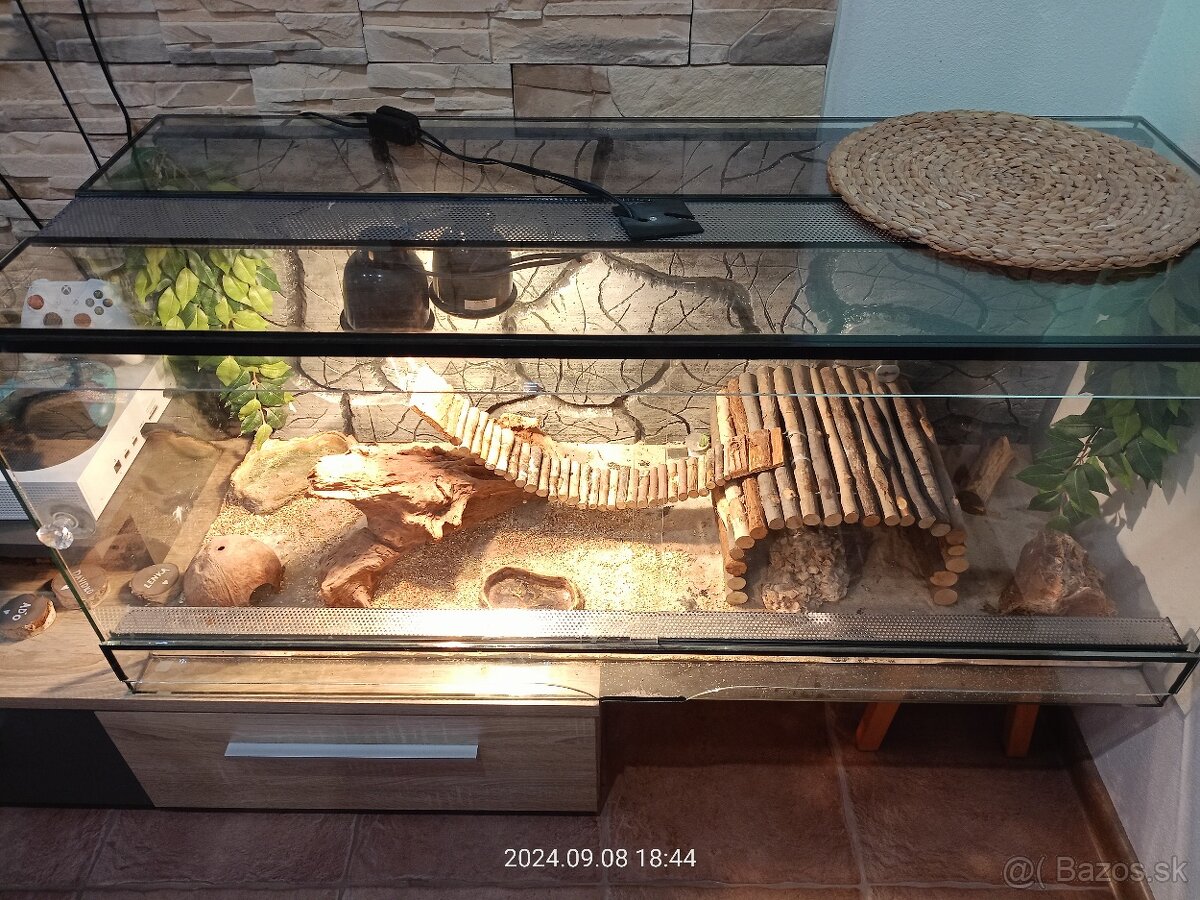 Terarium