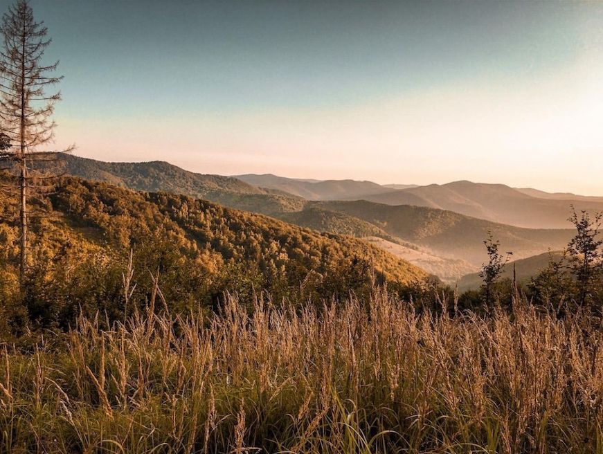 Zbora (Dohňany) - 8.714 m2 LESY a ORNÁ PÔDA - Na predaj