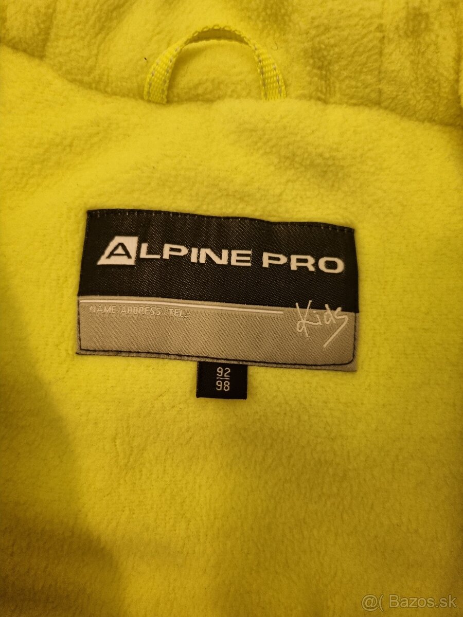 ALPINE PRO