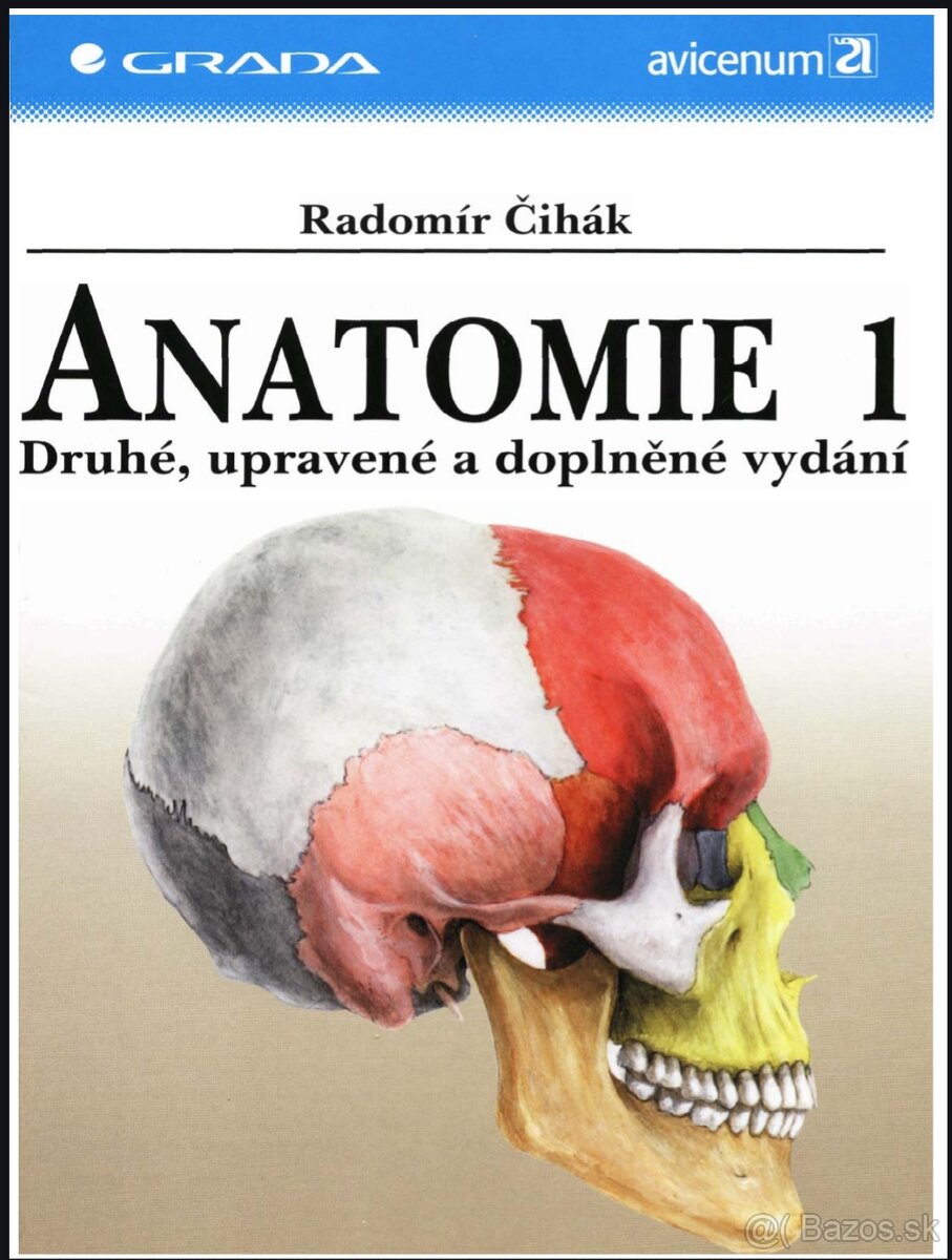 Anatómia Čihák I,II,III