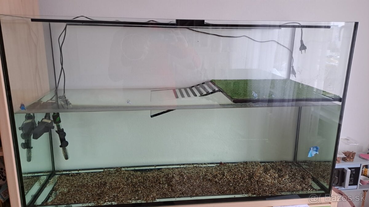 Terarium