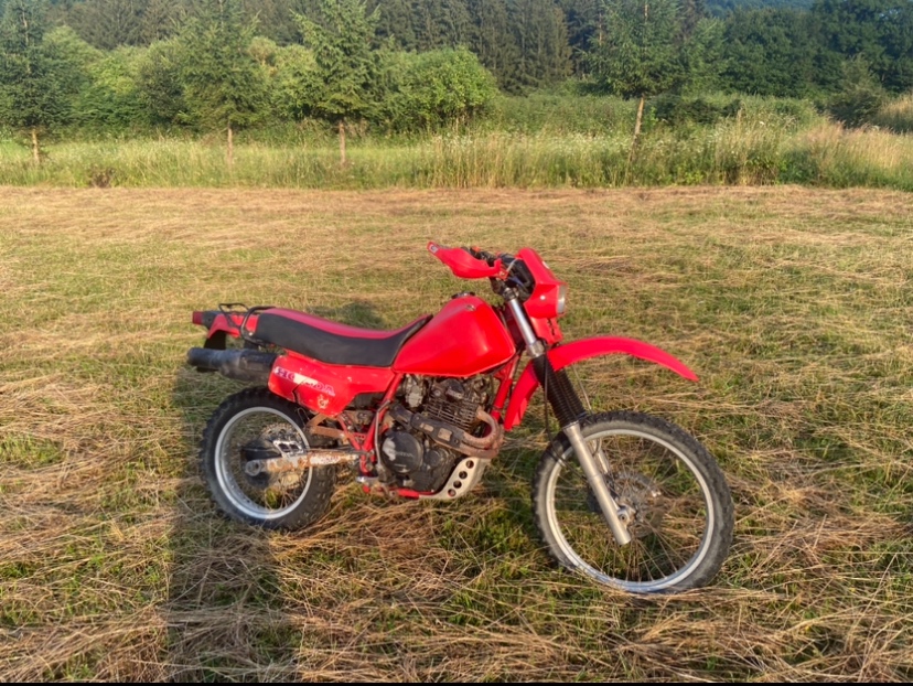 HONDA XL 600 R - PREDAM