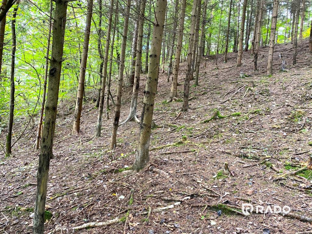 RADO | Na predaj rekreačný lesný pozemok - Brvnište.