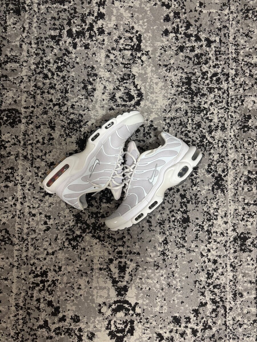 Nike air max TN (42)