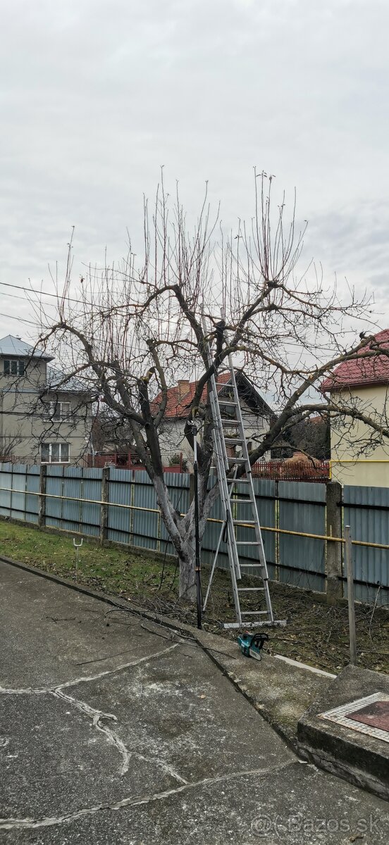 Kalša - orechové a ovocné drevo DARUJEM