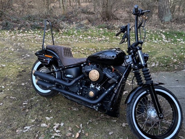 Harley Davidson Street Bob 2018, původ ČR, odpočet DPH