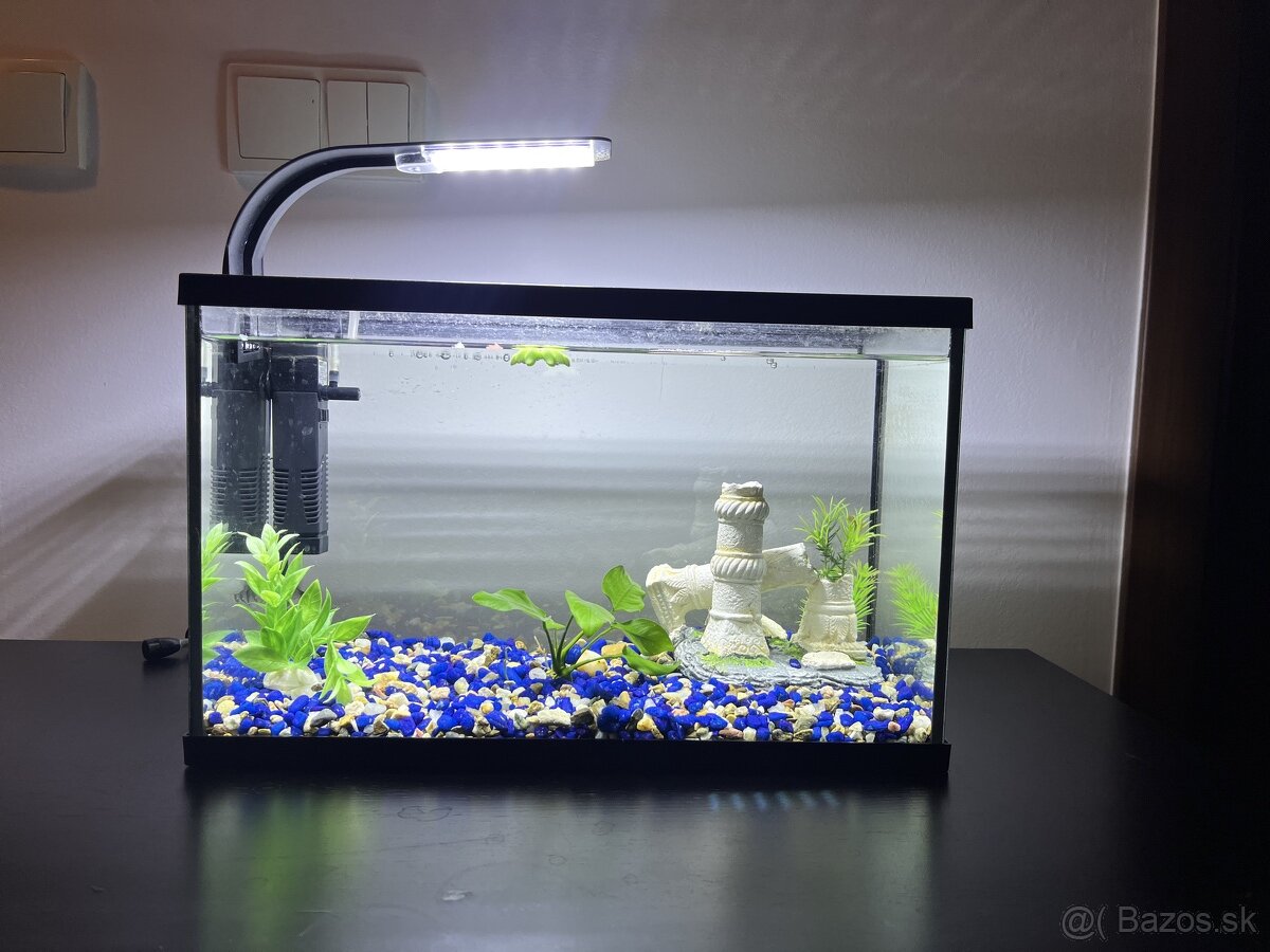 akvarium Bratislava