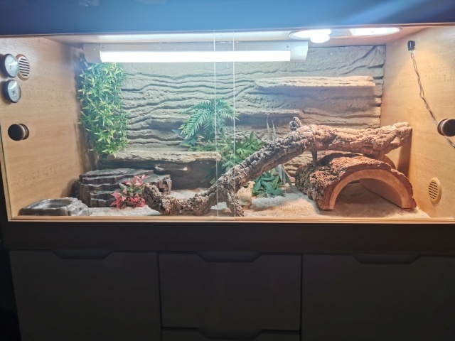 Terarium