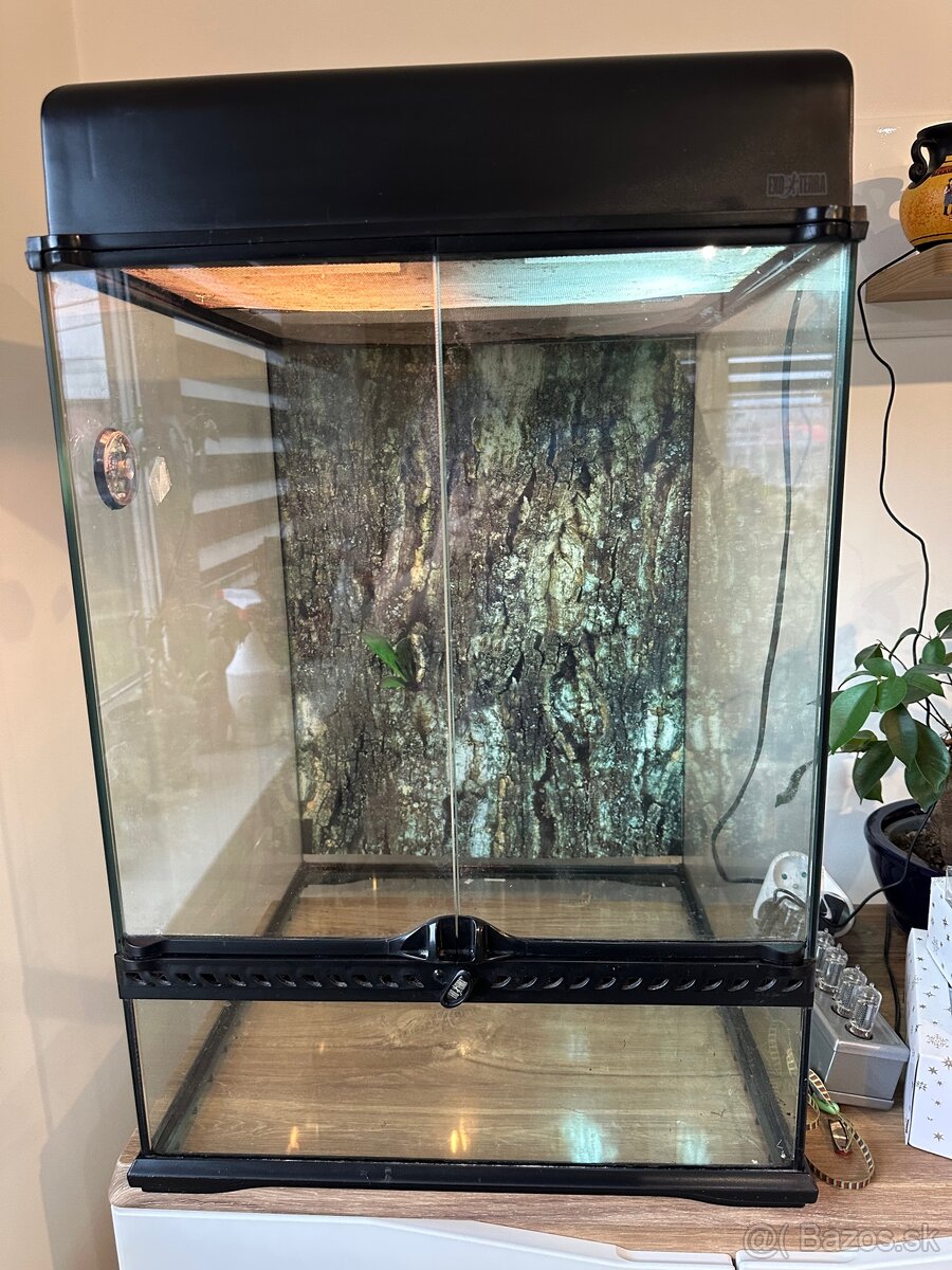 Terarium