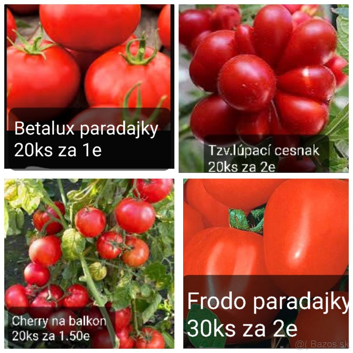 Paradajky raritky