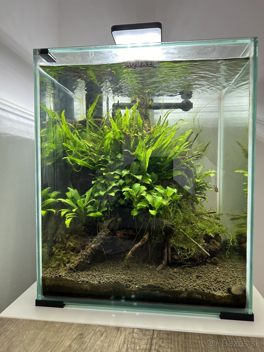 Aquael shrimp set 30l