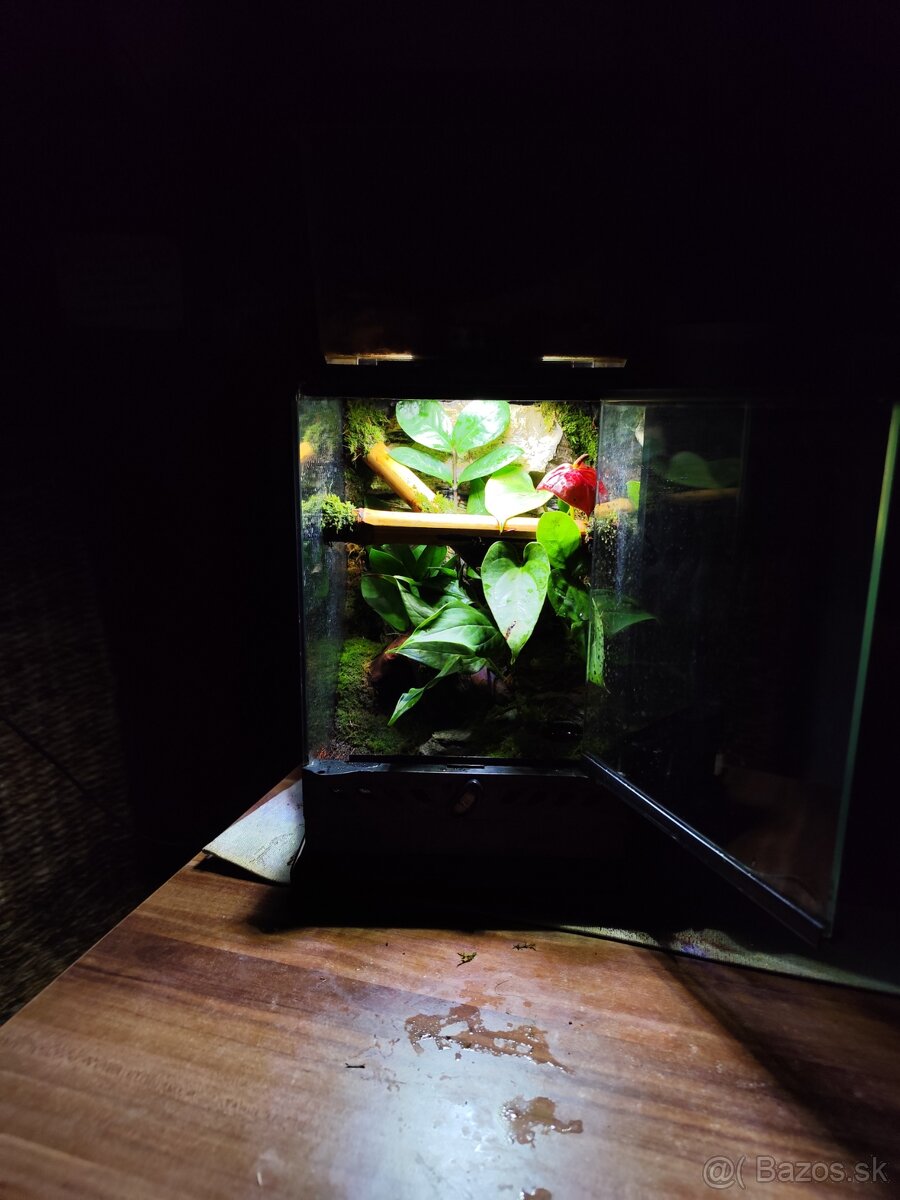 Terarium Exo terra