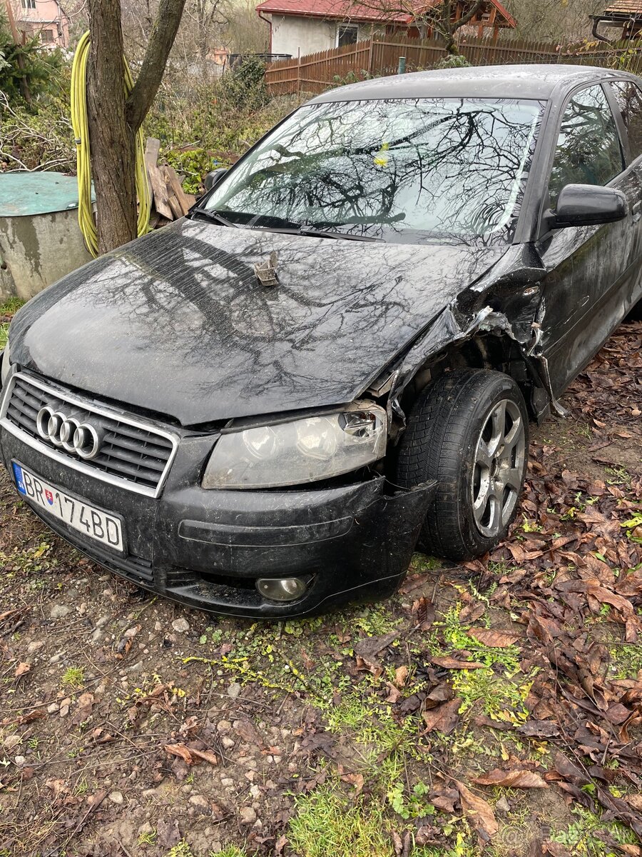 HAVAROVANÉ - Audi A3 8P 2004