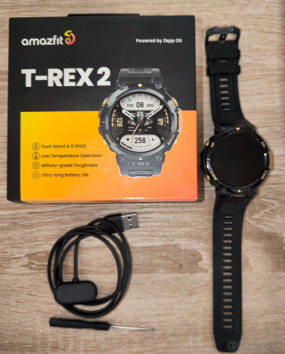 Amazfit T-Rex 2 (Astro Black and Gold)