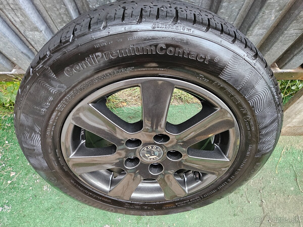 Nemecké disky BORBET - 5x112 r15 + 195/65 r15