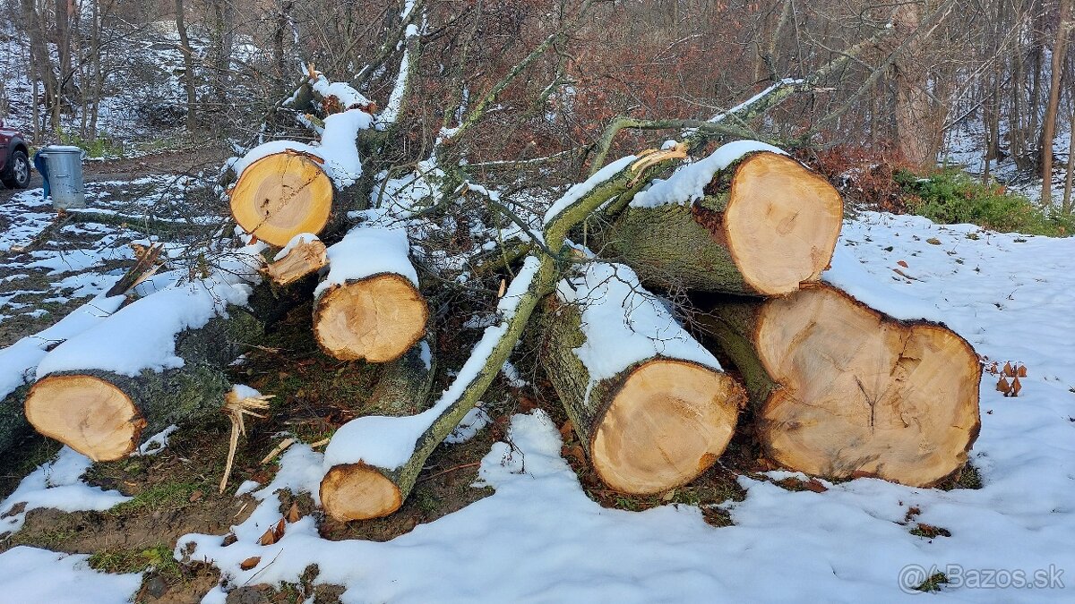 Drevo pre rezbara, stolara Lipa a Ceresna