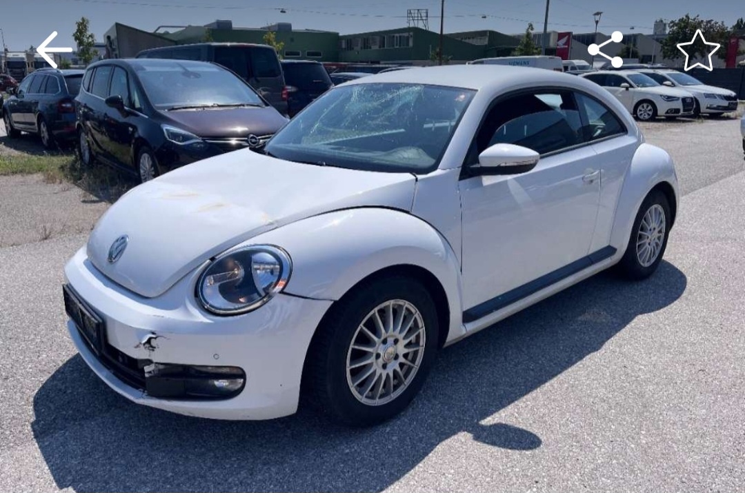 Wv beetle