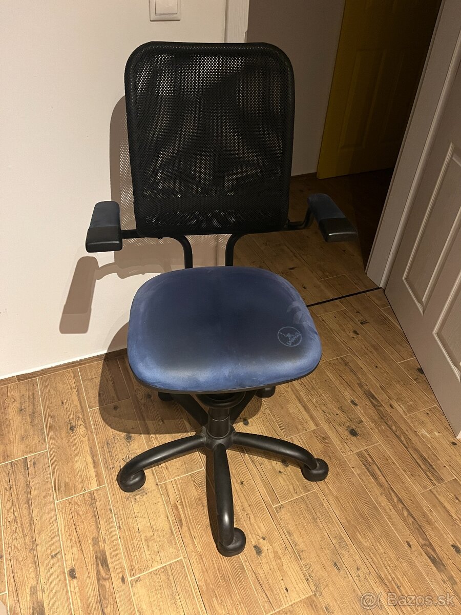 Stolička Spinalis Ergonomic modrá