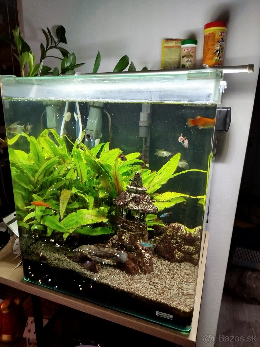 Predam akvarium