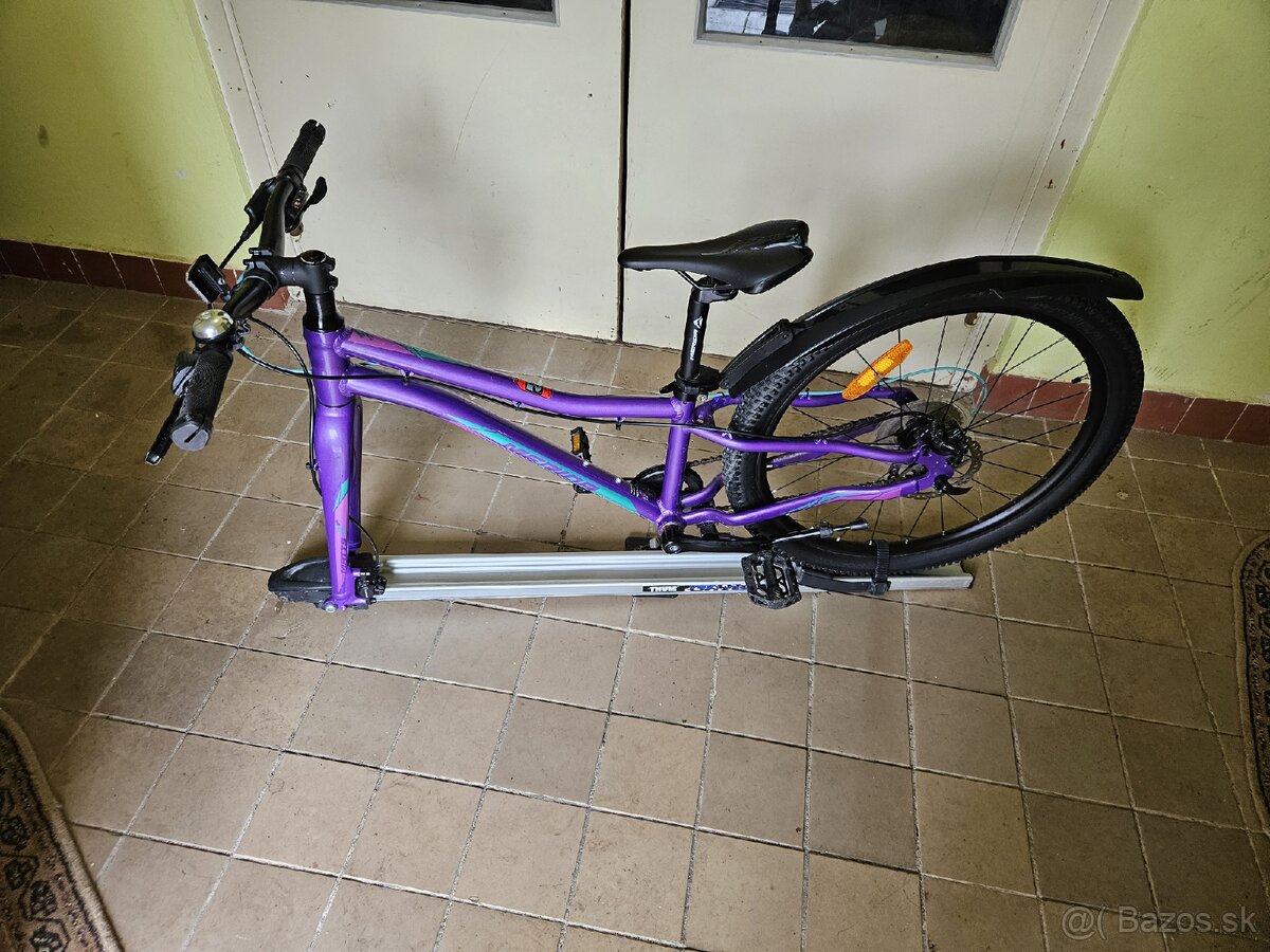 Thule nosič bike