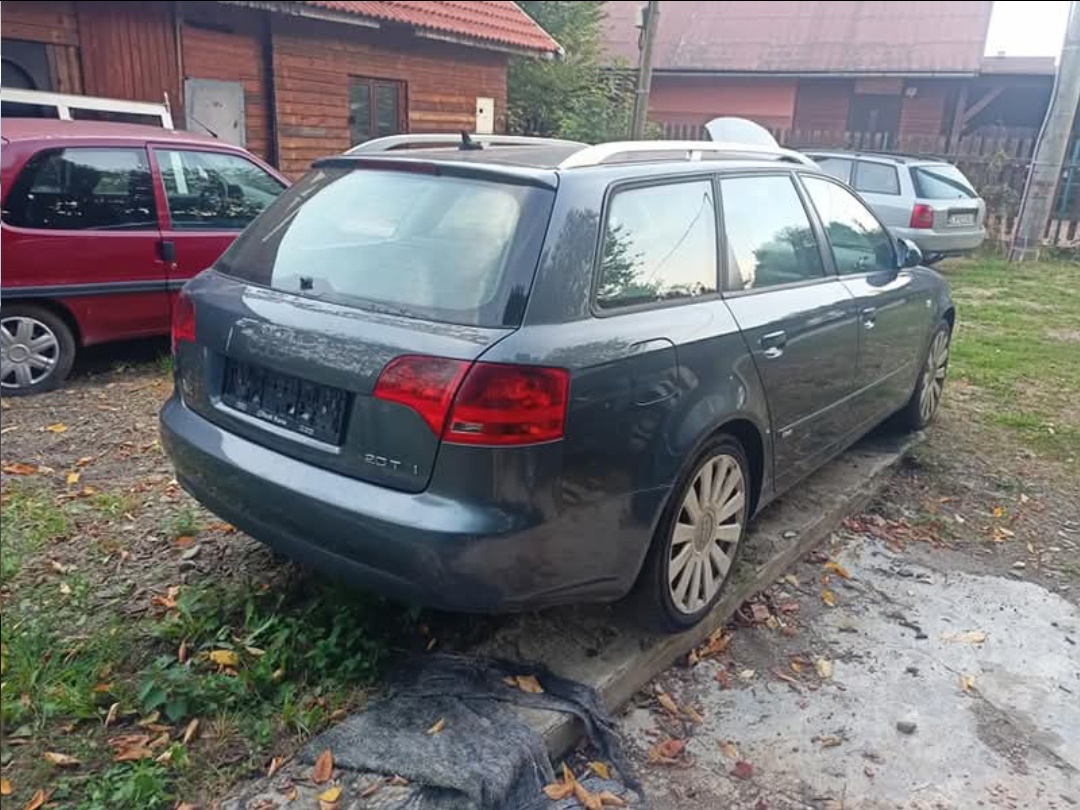 Audi A4 B7 2.0 TDI diely