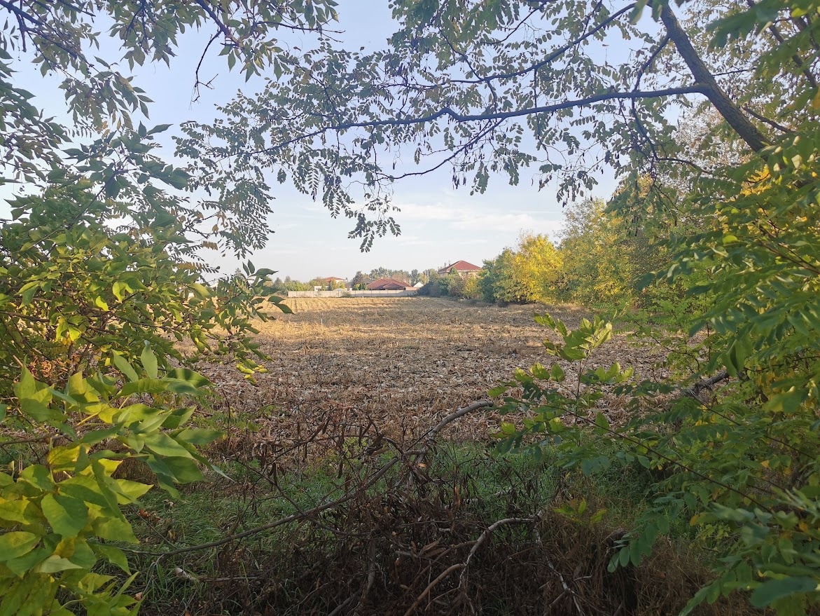 Predaj pozemku Veľlé Dvorníky, okres Dunajská Streda