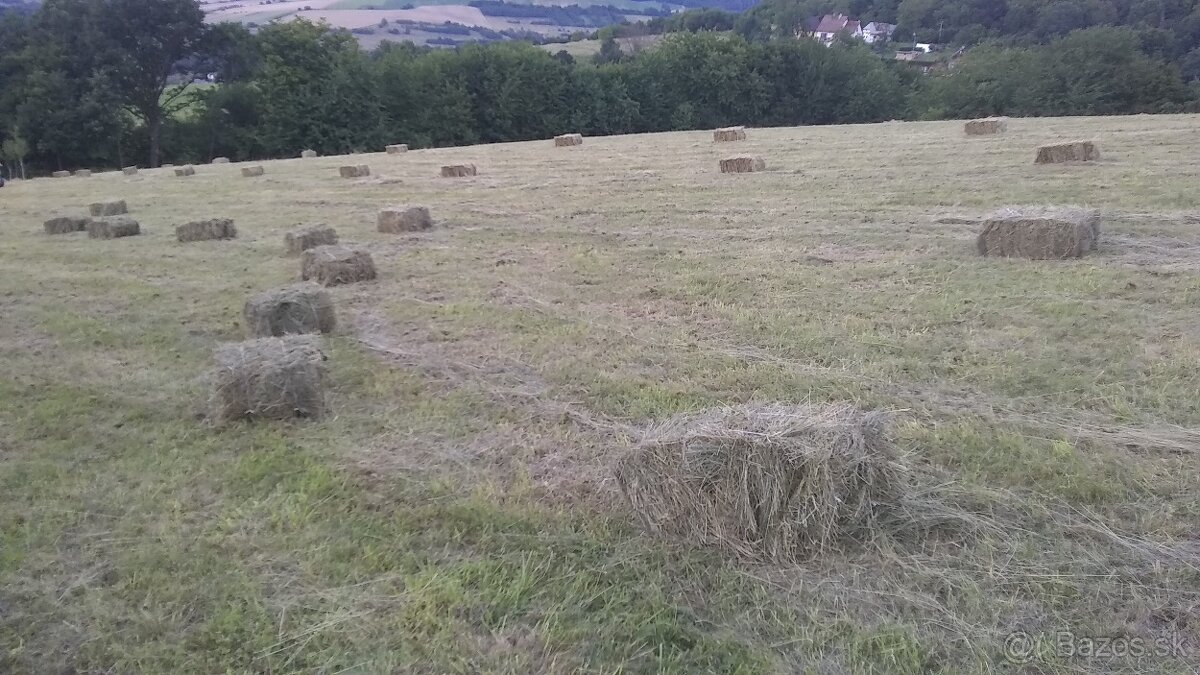 Predám kvalitné  horské  seno  v malých  balíkoch .