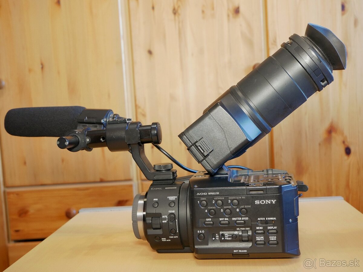 Sony NEX FS-100