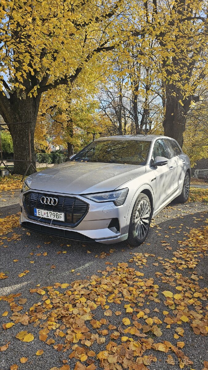 e-tron 55 quattro advanced 95 kWh, aj na splátky.